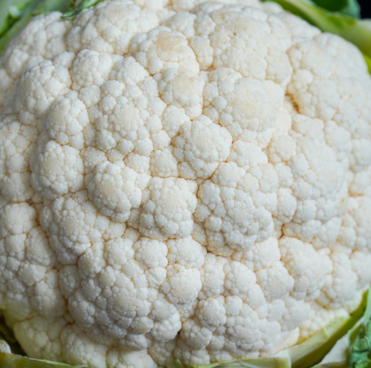 Cauliflower.jpg