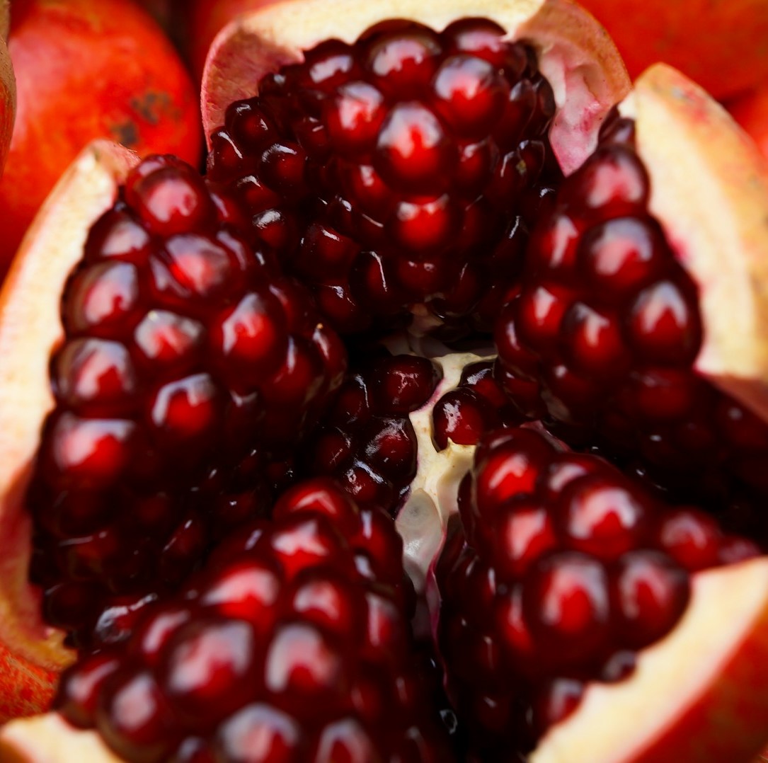 Pomegranate.jpg