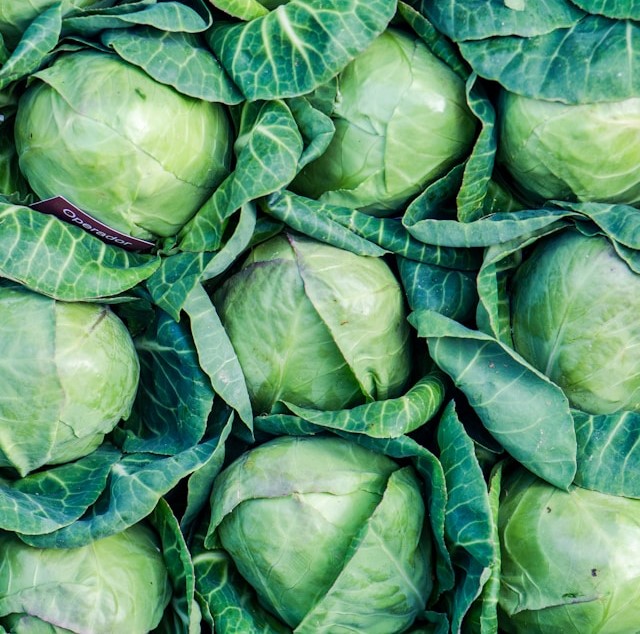 cabbage.jpg