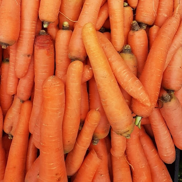 carrot.jpg